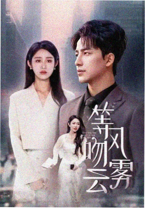 高清电视剧在线播放雾港迷航